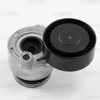 CARBERRY 55ca49 - Автозапчать
