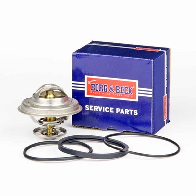 BORG BBT042 - Термостат