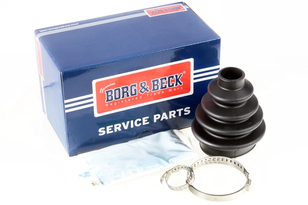 Пыльник шруса