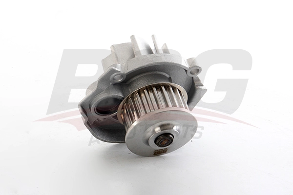 BSG BSG 25-500-011 - Водяной насос - помпа