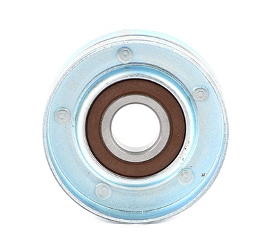 BSG BSG 30-615-050 - Натяжной ролик