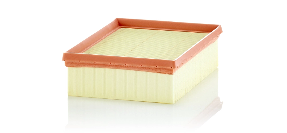 MANN-FILTER C 24 012/1 - Воздушный фильтр