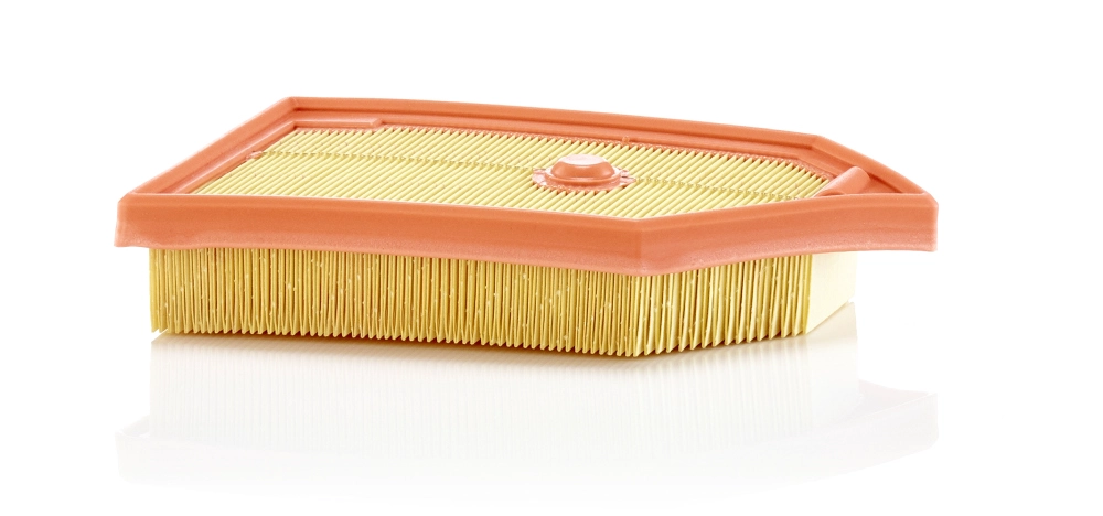 Воздушный фильтр