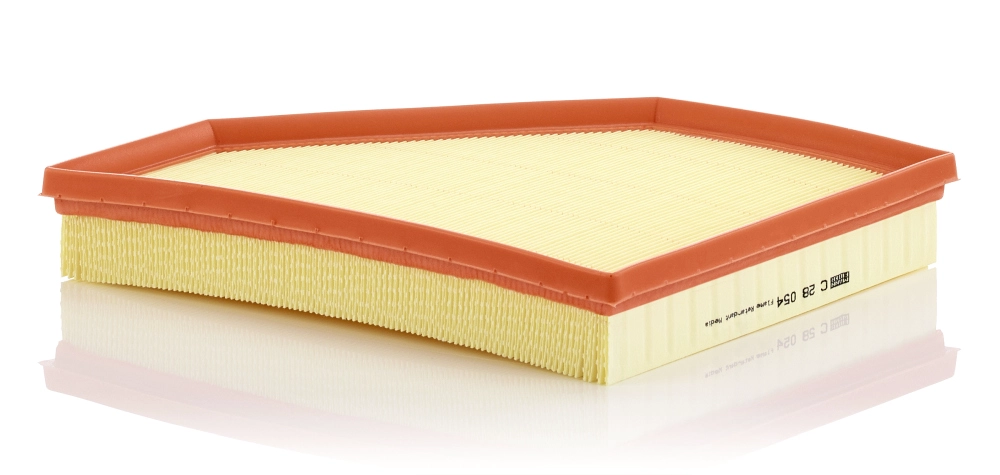 MANN-FILTER C 28 054 - Воздушный фильтр