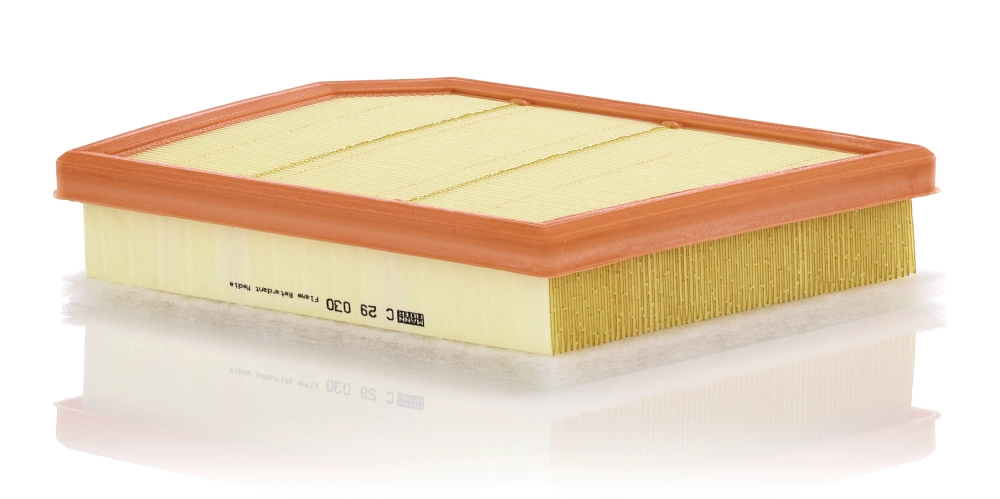 MANN-FILTER C 29 030 - Воздушный фильтр