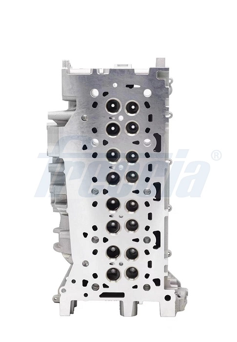 FRECCIA CH17-1026 - Головка блока цилиндров