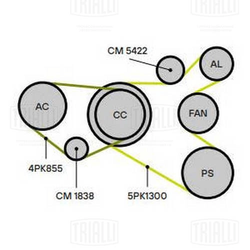 TRIALLI CM 1838 - Ролик обводной приводного ремня