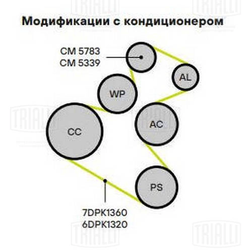 TRIALLI CM 5339 - Ролик обводной приводного ремня