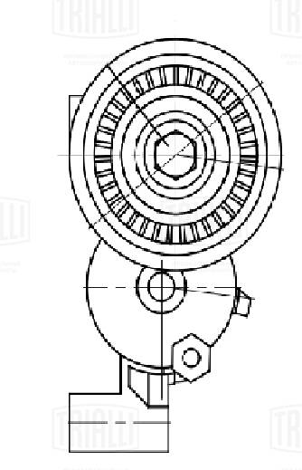 TRIALLI CM 5720 - Натяжитель ремня генератора
