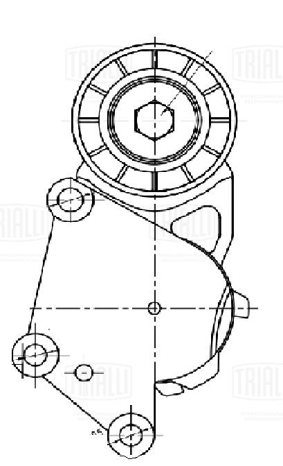 TRIALLI CM 5729 - Натяжитель ремня генератора