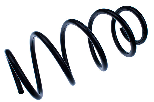 DENCKERMANN D700271 - Пружины 