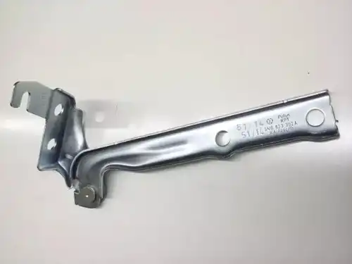 VAG 5n0823302a - 5N0823302A ПЕТЛЯ КРЫШКИ