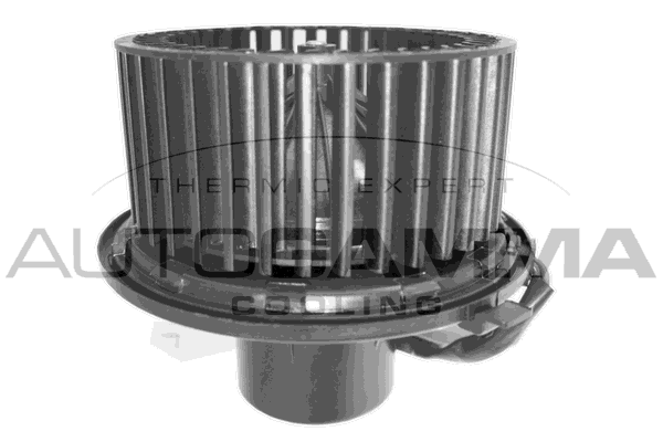 Моторчик печки