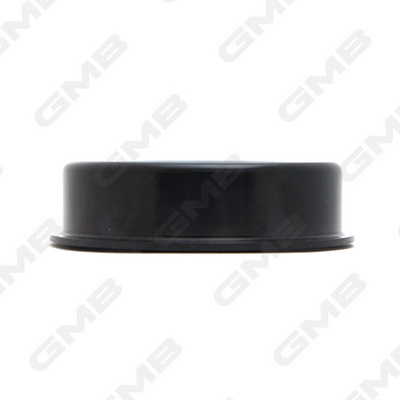 GMB GT10090 - Обводной ролик ГРМ