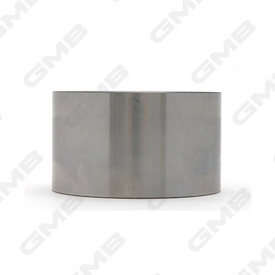 GMB GT10100 - Натяжной ролик ГРМ