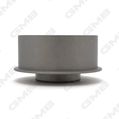 GMB GT10150 - Натяжной ролик ГРМ