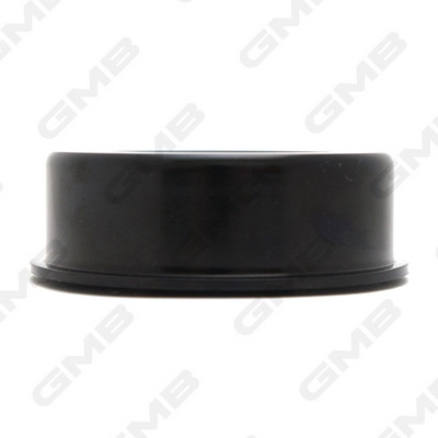 GMB GT10321 - Обводной ролик ГРМ