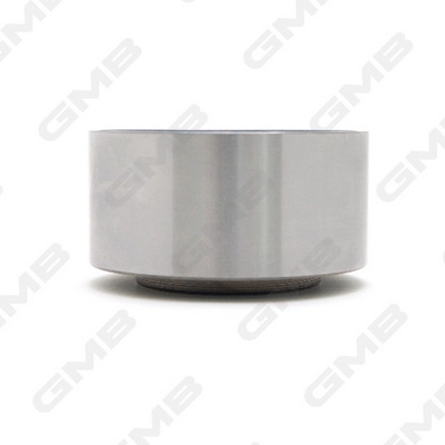 GMB GT60540 - Обводной ролик ГРМ