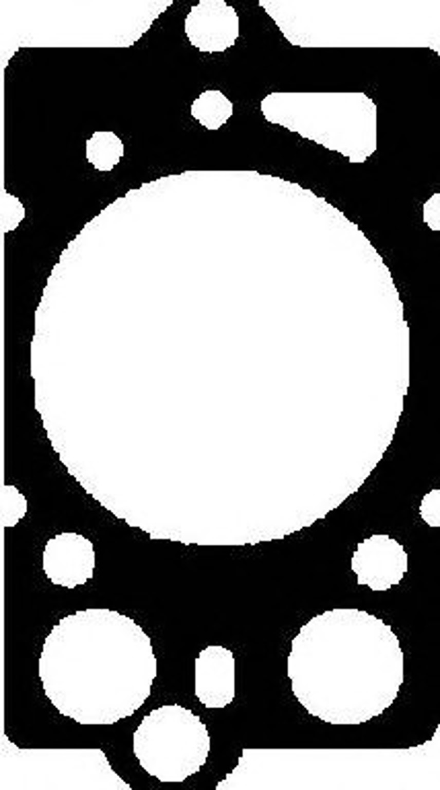 REINZ 613541010 - Прокладка ГБЦ