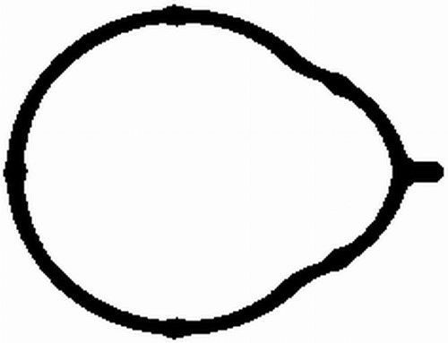 Прокладка впускного коллектора