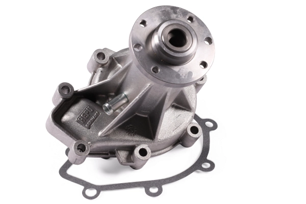 HEPU P176 - Водяной насос - помпа