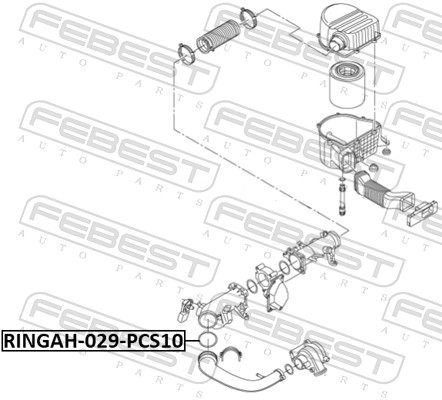FEBEST RINGAH-029-PCS10 - Уплотнительное кольцо патрубка интеркулера