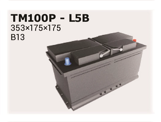 Стартерная аккумуляторная батарея MAGIC +30%