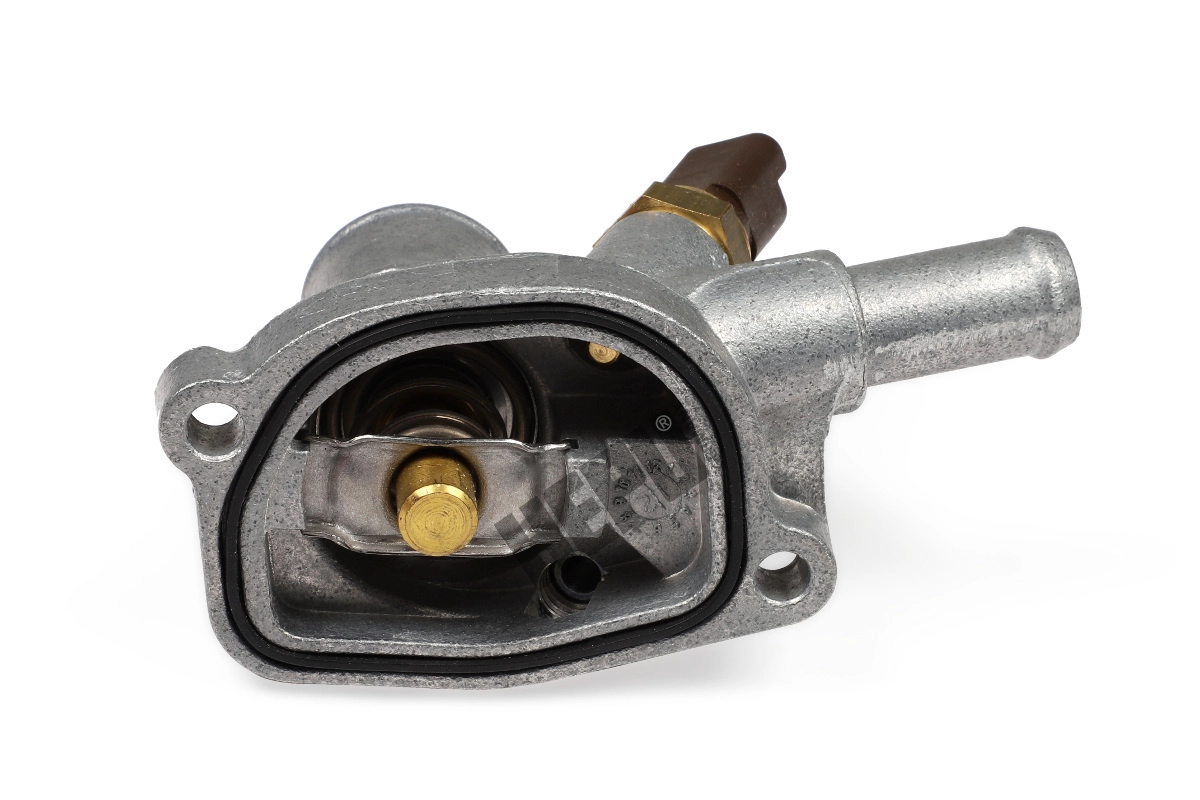 HEPU TM1110 - Термостат