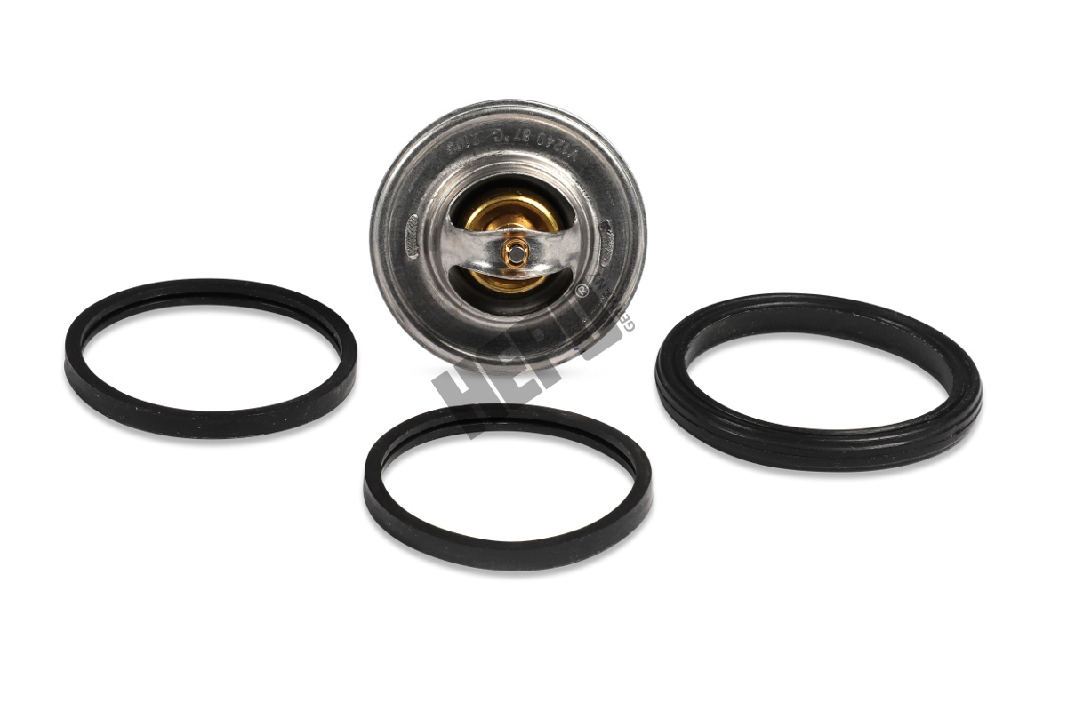 HEPU TM1309 - Термостат