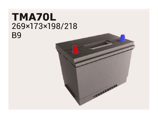 Стартерная аккумуляторная батарея MAGIC ASIA