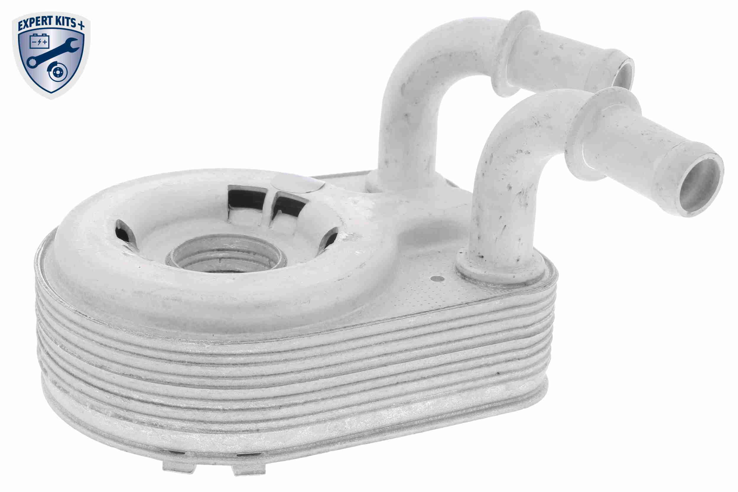 VEMO V24-60-0013 - масляный радиатор, двигательное масло EXPERT KITS +