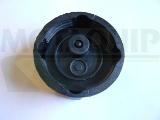 Крышка радиатора (расширительного бачка)