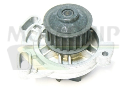 Водяной насос - помпа