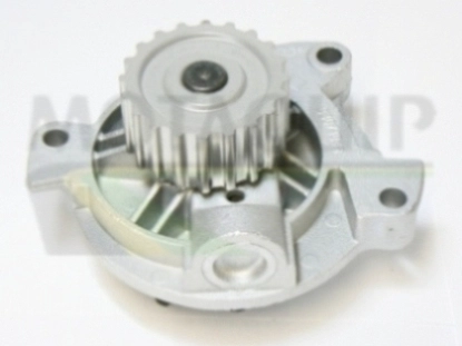 Водяной насос - помпа