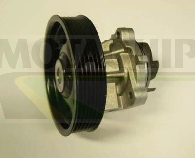 MOTAQUIP VWP839 - Водяной насос - помпа