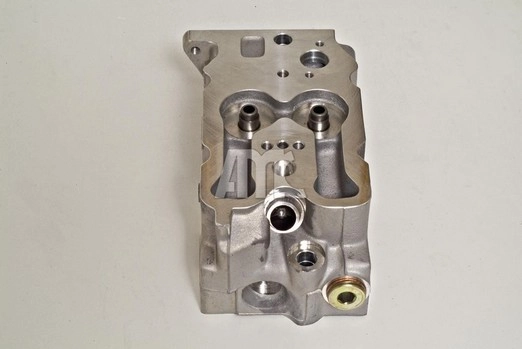 WILMINK GROUP WG1010970 - Головка блока цилиндров