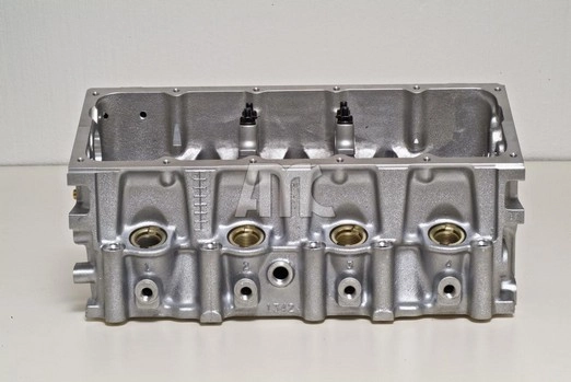 WILMINK GROUP WG1011065 - Головка блока цилиндров