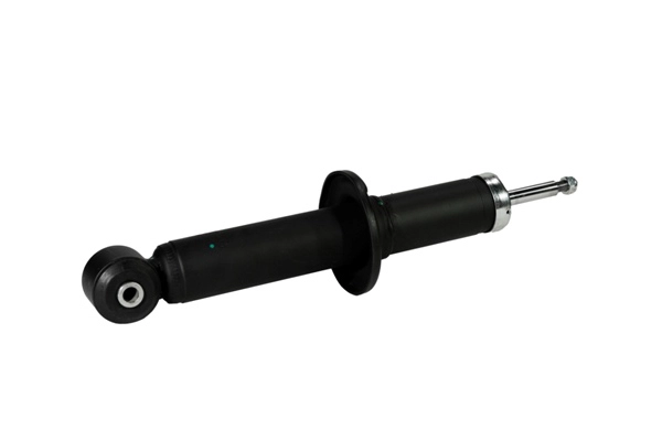 ZENTPARTS Z00352 - Амортизатор