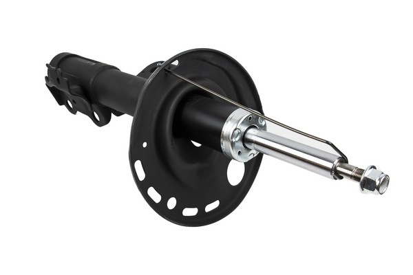 ZENTPARTS Z00551 - Амортизатор