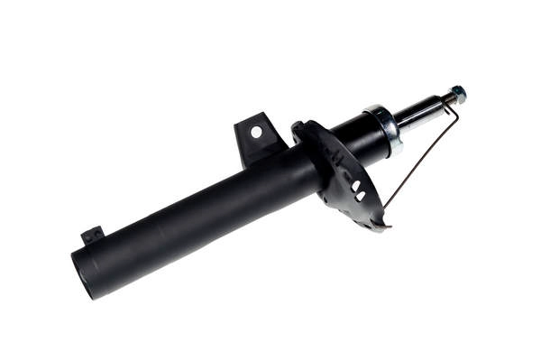 ZENTPARTS Z01210 - Амортизатор