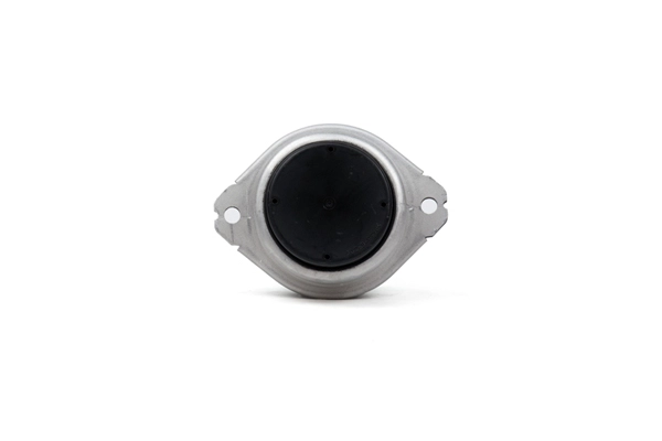 ZENTPARTS Z13358 - Подушка двигателя