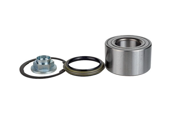 ZENTPARTS Z21961 - Ступичный подшипник