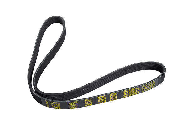 ZENTPARTS Z22604 - Ремень генератора