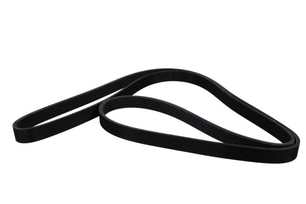 ZENTPARTS Z22681 - Ремень генератора