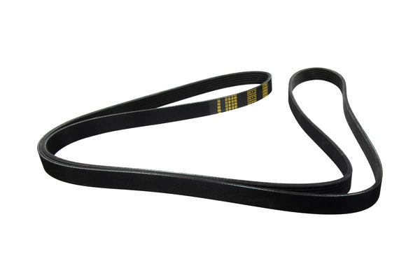 ZENTPARTS Z22691 - Ремень генератора