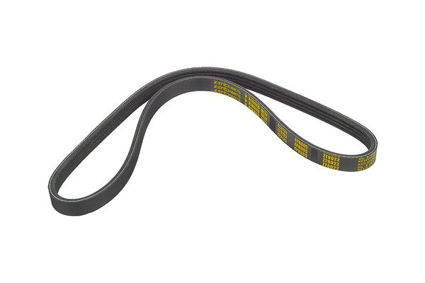 ZENTPARTS Z23123 - Ремень генератора