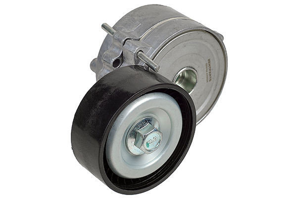 ZENTPARTS Z23782 - Натяжитель ремня генератора