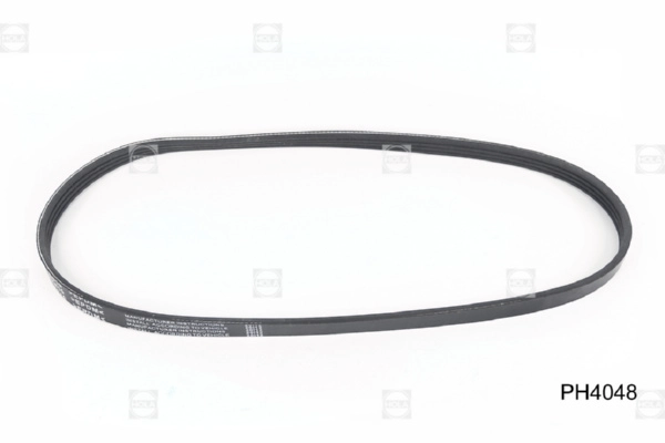 HOLA PH4048 - Ремень генератора