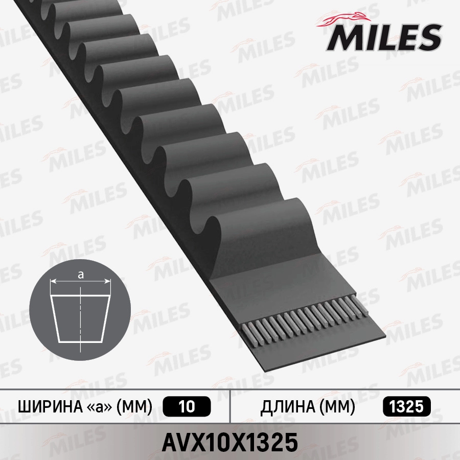MILES AVX10X1325 - Клиновой ремень