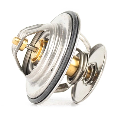 BSG BSG 60-125-014 - Термостат